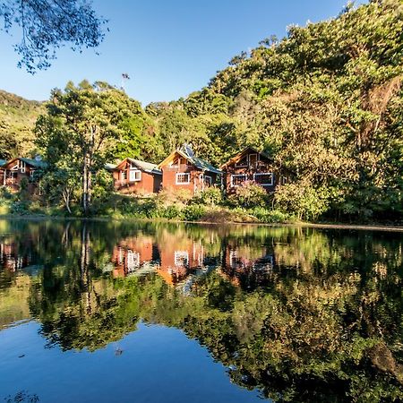 Sueños del Bosque Lodge San Gerardo de Dota Exterior foto