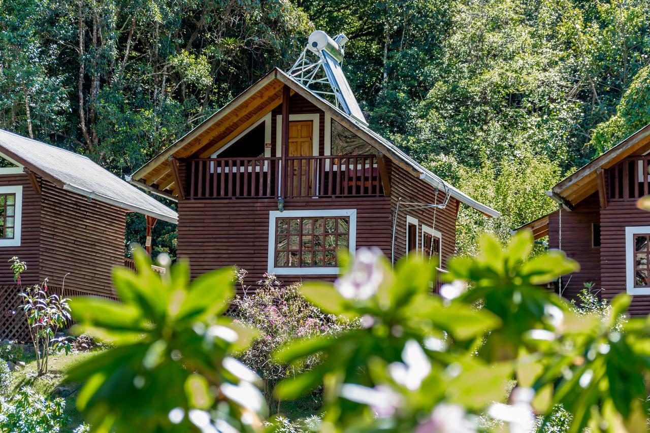 Sueños del Bosque Lodge San Gerardo de Dota Exterior foto