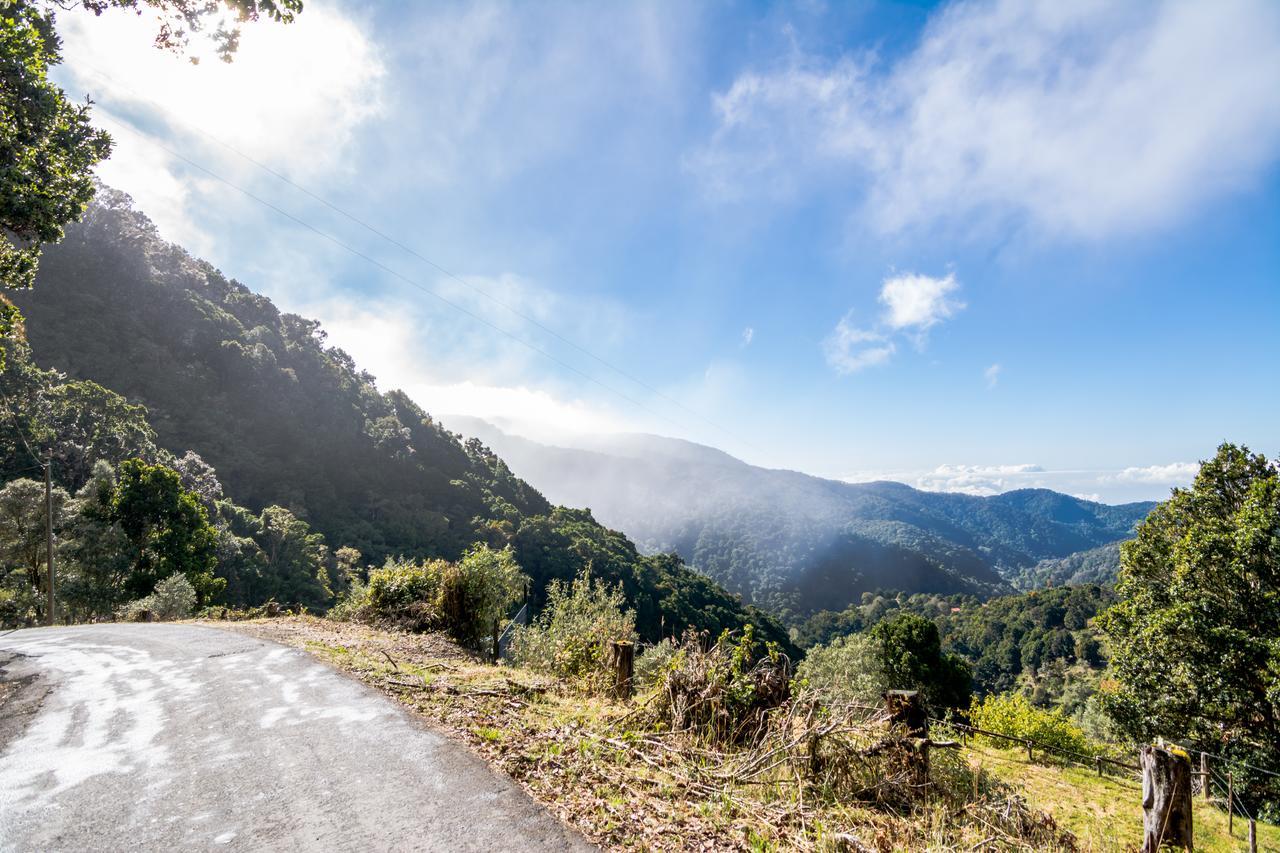 Sueños del Bosque Lodge San Gerardo de Dota Exterior foto