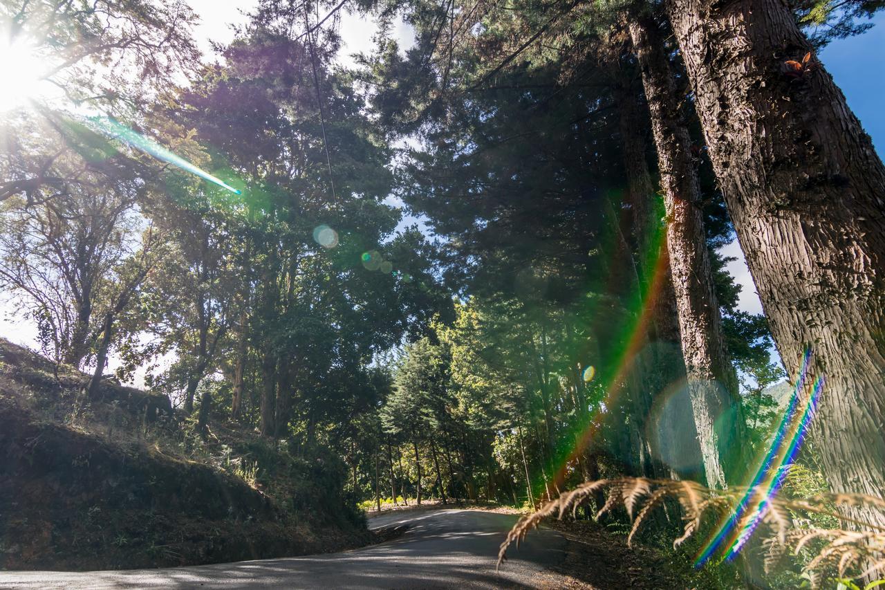 Sueños del Bosque Lodge San Gerardo de Dota Exterior foto