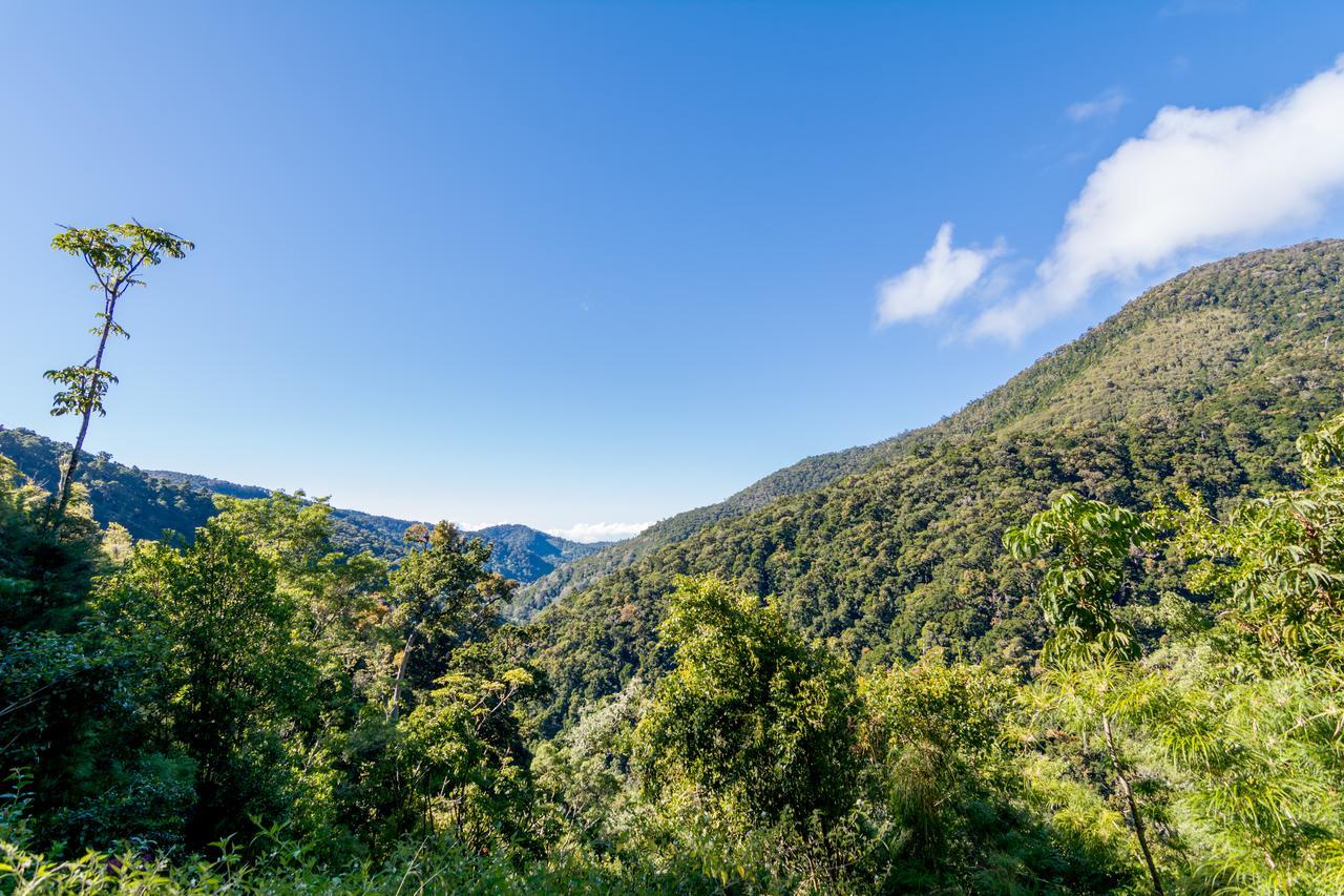 Sueños del Bosque Lodge San Gerardo de Dota Exterior foto
