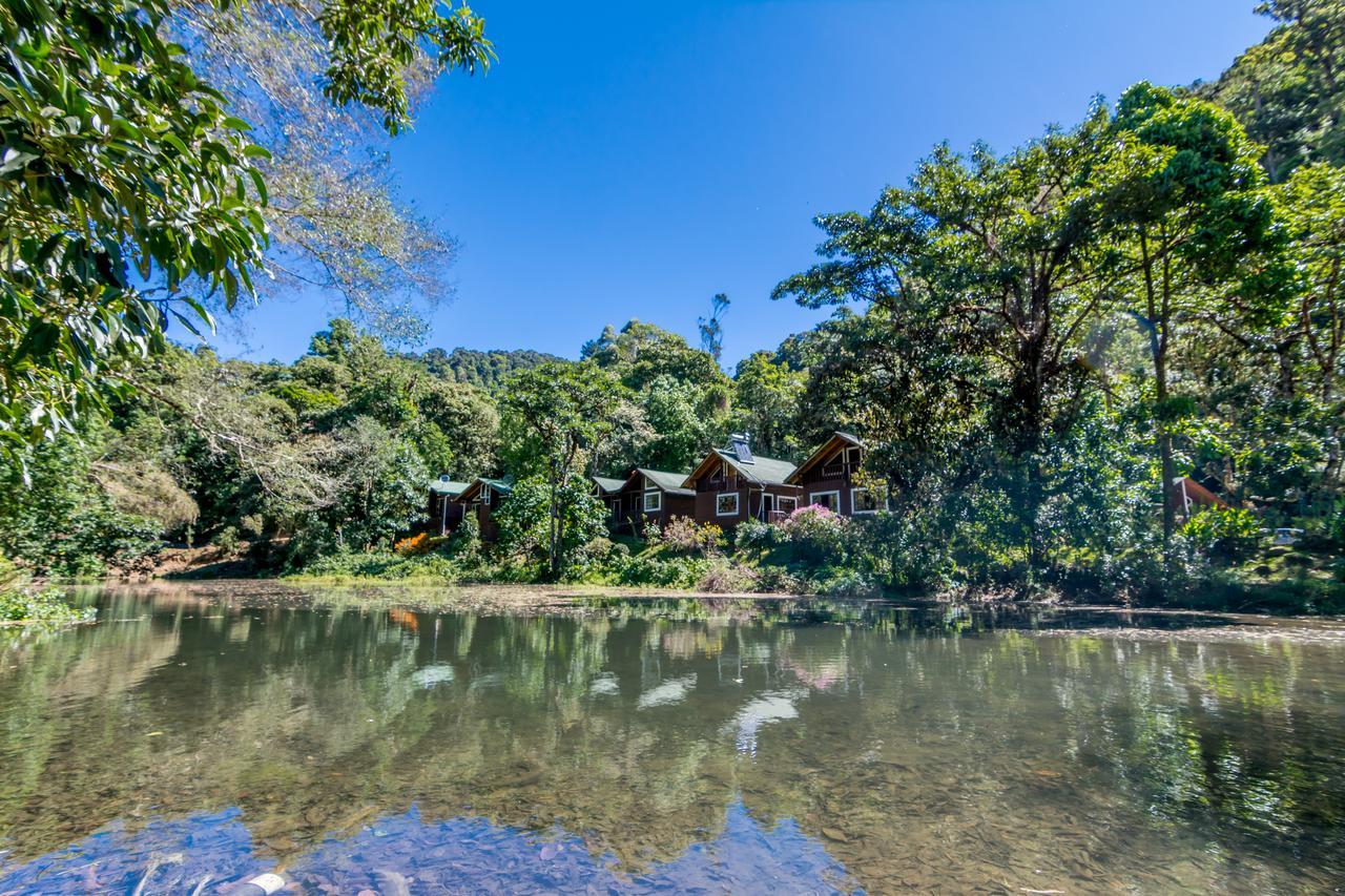 Sueños del Bosque Lodge San Gerardo de Dota Exterior foto