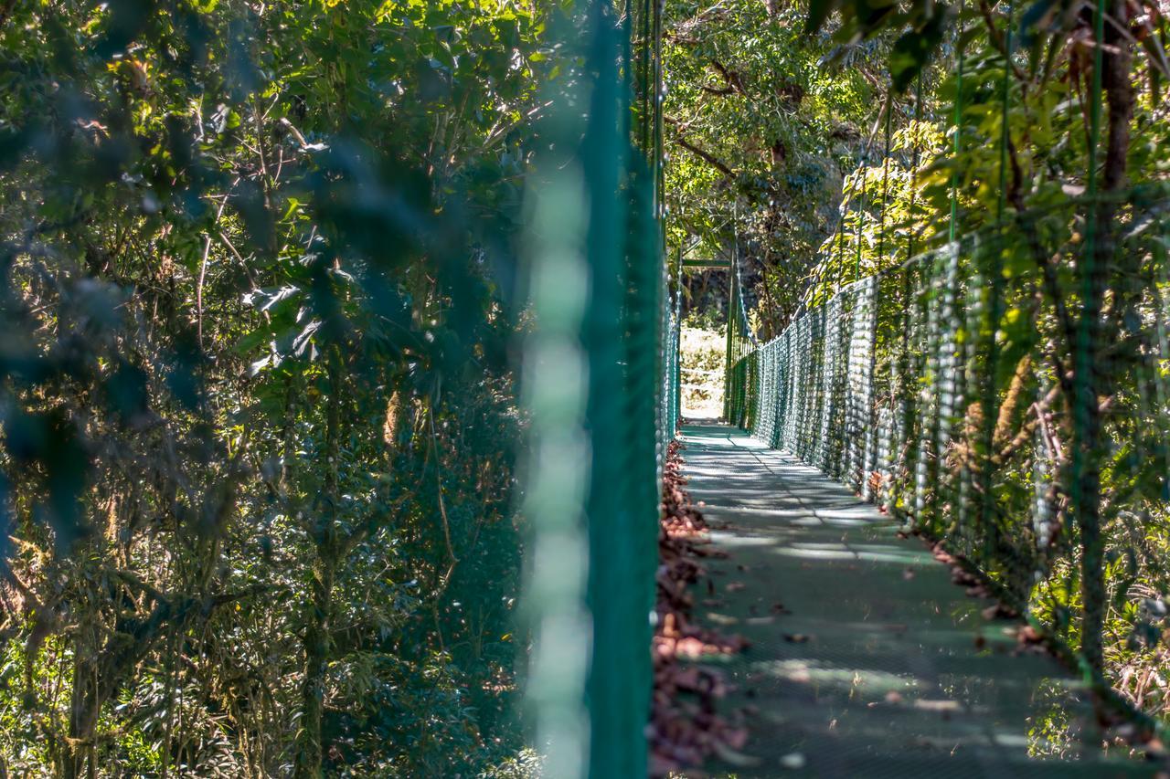 Sueños del Bosque Lodge San Gerardo de Dota Exterior foto