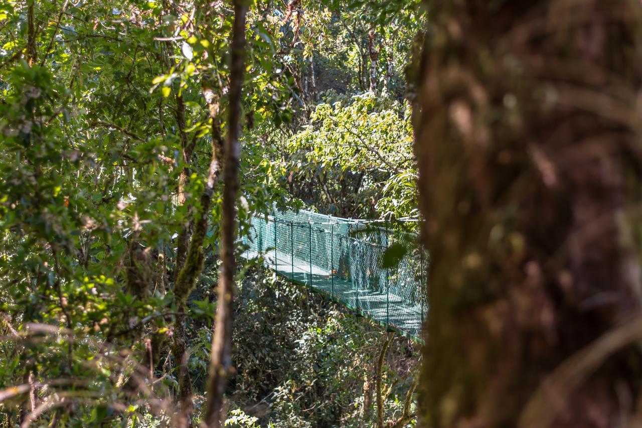 Sueños del Bosque Lodge San Gerardo de Dota Exterior foto