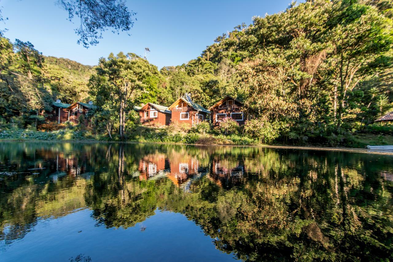 Sueños del Bosque Lodge San Gerardo de Dota Exterior foto